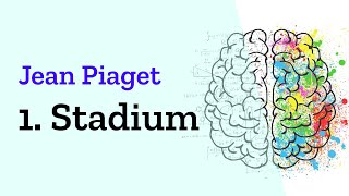 Sensomotorisches Stadium der kognitiven Entwicklung nach Jean Piaget Erklärung des Stufenmodells [upl. by Elison291]