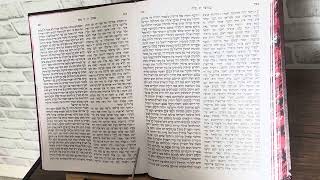 PARSHAS SHELACH TORAH READING SHELISHI 3RD ALIYAH [upl. by Gretal947]