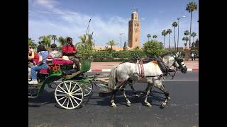 Promenade en Calèche à Marrakech [upl. by Alihet]