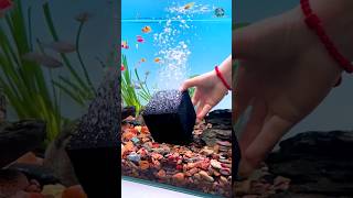 Testing Activated Carbon Filter Cubes  Aquarium Water Purifier 😱 gadgets shorts carbon video [upl. by Naedan]