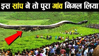 इतना बड़ा था कि पूरा का पूरा गांव ही निगल जाता titanoboa snake biggest snake [upl. by Levram671]