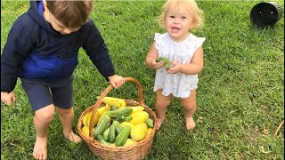 Gardening With Kids Let Them Harvest amp Learn [upl. by Irihs]