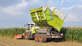 Claas Jaguar 900 Fieldshuttle  Loonwerken De Bruyne  mais 2013 [upl. by Player891]