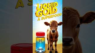 Liquid Gold The Superfood You Need To Know About shorts liquidgold colostrum superfood [upl. by Eeima106]