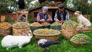 Harvesting and Baking with Fresh Almonds A Village Tradition [upl. by Asillam149]