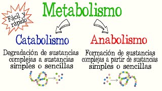 🍔¿Qué es el Metabolismo Catabolismo y Anabolismo diferencias Fácil y Rápido  BIOLOGÍA  QUÍMICA [upl. by Gabbi]