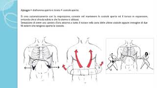 3 Sostegno e appoggio della voce e nel canto [upl. by Leahcimluap870]