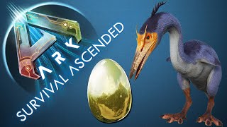 So TAMINT ihr ein HESPERORNIS und bekommt Ihr GOLDENE EIER  EGGS TUTORIAL  ARK ASCENDED [upl. by Eelrak148]