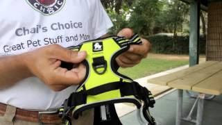 Best Harness For Dogs [upl. by Daraj]