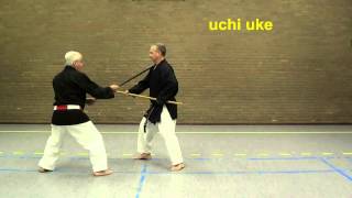 Hanbo Jutsu Kihon and Basic Kumite [upl. by Fabiano]