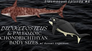 Dunkleosteus amp Paleozoic Chondrichthyan Body Sizes w Russell Engelman  Elasmocast Episode 6 [upl. by Lowrance]