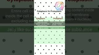 Cytoplasm vs protoplasm shorts youtubeshorts shortvideo shortsfeed [upl. by Garrard]