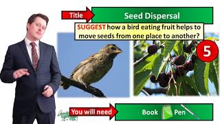 Seed Dispersal  Biology  Key Stage 3  Mr Deeping [upl. by Haraz]