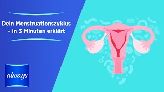 Was ist Periode und Menstruationszyklus [upl. by Oruasi]