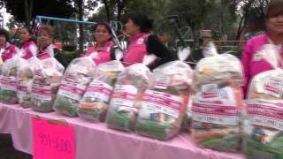 LLega el Programa Aliméntate a Tlalpan [upl. by Dearden117]