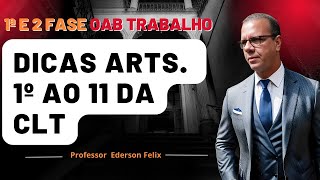 1 e 2 fase OAB Trabalho  AULA AO VIVO  Dicas [upl. by Namsaj]