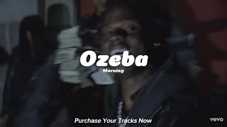 Rema X Shallipopi Type beat  Ozeba [upl. by Eniad]