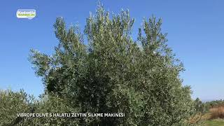 Halatlı Zeytin Silkme Makinası  Kadıoğlu Vibrope Olive S  2017 [upl. by Eb]