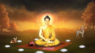 Phật Thích Ca  Background Video Shakyamuni Buddha Full HD  024 [upl. by Alleuol]