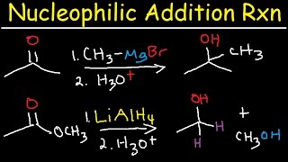 Nucleophilic Addition Reaction Mechanism Grignard Reagent NaBH4 LiAlH4 Imine Enamine Reduction [upl. by Owen]