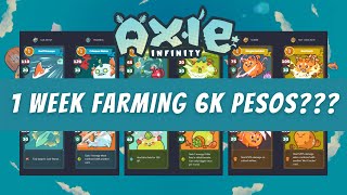 AXIE  ABP  PLANT BACKLINE STRATEGY  1300MMR  SLP UPDATE [upl. by Lucrece]