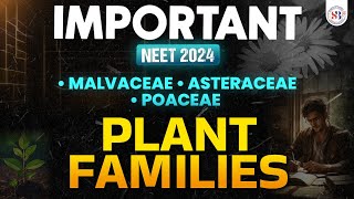 IMPORTANT PLANT FAMILIES FOR NEET 2024  MALVACEAE ASTERACEAE POACEAE  NEET BIOLOGY BY SANKALP [upl. by Amasa247]