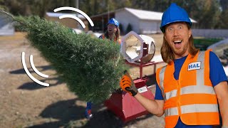 Explore a Christmas Tree Farm with Handyman Hal  Pick the perfect Christmas Tree  On the Farm [upl. by Tallulah833]