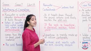 Class 7  Science  Chapter 13  Lecture 41 Weathering of Limestone Allied Schools [upl. by Duck]