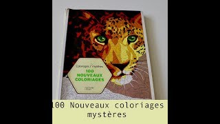 100 nouveaux coloriages mystères finies  par ameliemelie33 colorie [upl. by Linis]