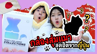 กล่องสุ่มแมว สุดฮิตจากญี่ปุ่น  Ochymy Toys [upl. by Anallese3]