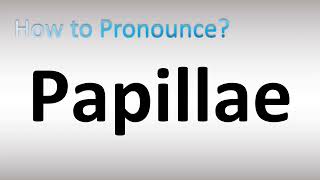 How to Pronounce Papillae [upl. by Alphard]