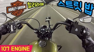 시승기 HarleyDavidson Street Bob  할리 스트리트 밥  고동감과 출력의 조화 모토잡스 [upl. by Cyna]