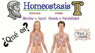 🚹 ¿Qué es la Homeostasis ✅ Fácil y Rápido  BIOLOGÍA [upl. by Dahcir]