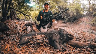 Cacería de jabalí con rifle cal 22 lr Javelina hunting with a 22 lr rifle [upl. by Angelina]