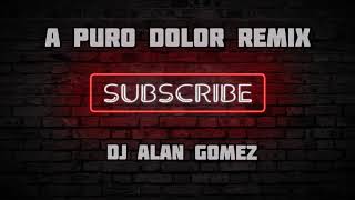 A PURO DOLOR REMIXDJ ALAN GOMEZ [upl. by Leede]