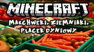 Minecraft 14  Nowe jedzenie Marchewki ziemniaki placek dyniowy złota marchewka [upl. by Yffat]