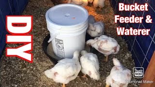 EASY and CHEAP DIY homemade 5 gallon Bucket Chicken Feeder and Waterer Perfect for all poultry [upl. by Regnig]