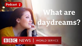 Why we daydream and what goes on in our brain when we do  CrowdScience podcast BBC World Service [upl. by Aerbas]