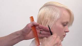 EXCLUSIVE In Depth Sassoon Academy Cut and Colour Tutorial Step by Step [upl. by Ennirroc]