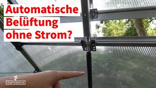 Wie funktioniert ein automatischer Fensteröffner für das Gewächshaus  ohne Strom und Batterien [upl. by Marie-Ann]