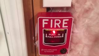 FireLite BG12LX Addressable Fire Alarm Pull Station quotSIMULATIONquot [upl. by Aissyla599]