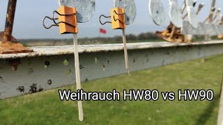 Hitting a 5mm target at 35m  Weihrauch HW80 and HW90 [upl. by Nellac]