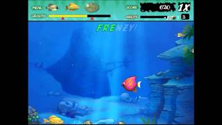 Play Frenzy Fish Games PC  Free Download Games For Laptop [upl. by Ennybor]