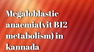 Megaloblastic anaemia vit B12 physiology and metabolism [upl. by Adnovaj]