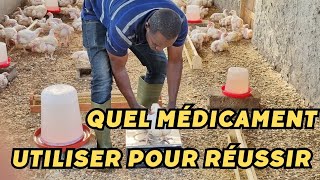 poulets de chair  les médicaments vétérinaire quil te faut [upl. by Chambers193]