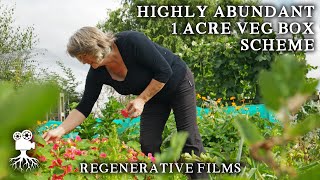 SelfSufficient Grower Feeds 20 Families on Only 05 Acres  Regenerative Films [upl. by Ramahs]