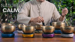 Tranquil Forest Sound Meditation 528 Hz  1 Hour Tibetan Singing Bowls  DeStress and Sleep Easy [upl. by Eniretac]