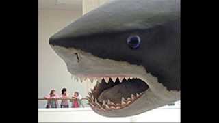 Megalodon worlds biggest shark [upl. by Einahpet534]