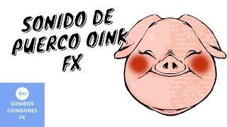 Gruñidos de Cerdo Oink Oink 🔊 Efecto de Sonido [upl. by Orms]