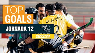 🏒 🥅 GOLS OK LLIGA PLATA 202324  JORNADA 1️⃣2️⃣ [upl. by Eadahc325]